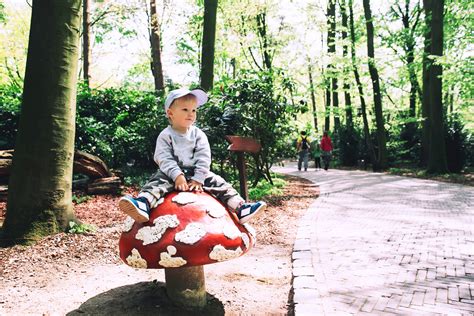 veiling efteling|Efteling Veiling: Bieden op een Dagje Uit